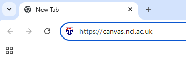Picture of Address Bar with Newcastle Canvas URL